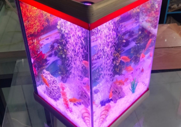 Mini tower aquarium name